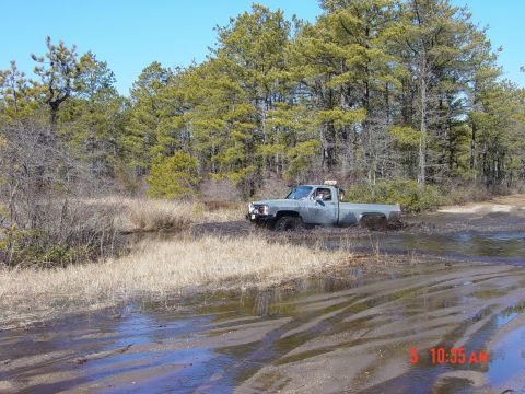 1995 Dodge 1500