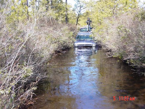 1995 Dodge 1500