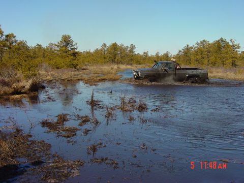 1995 Dodge 1500