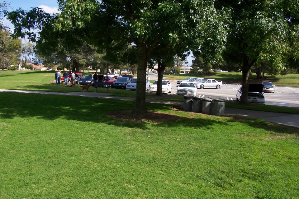 Several cars parked in a lot next to a grassy park area with trees
