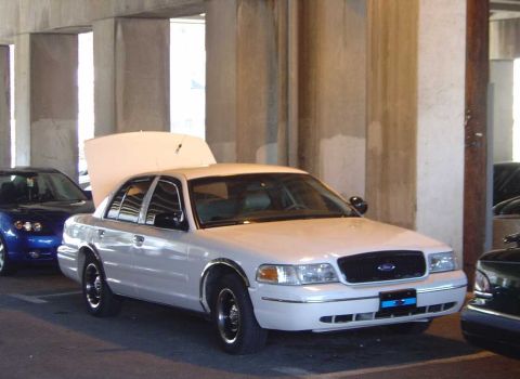 1998 Ford Crown Victoria - A white 1998 Ford Crown Victoria is parked with its hood up, alongside other vehicles under a concrete structure.