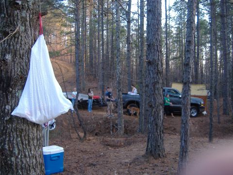 2004 Jeep Wrangler - A group of people and a dog are gathered around a dark pickup truck in a wooded area, with a white bag hanging from a tree in the foregroun…