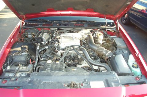 1998 Ford Crown Victoria - Engine bay of a 1998 Ford Crown Victoria, showing the V8 engine and associated components.
