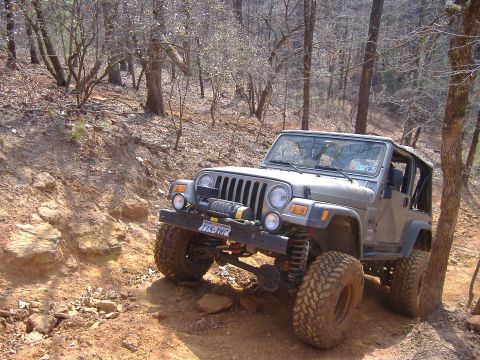 2004 Jeep Wrangler - A Jeep TJ navigates a rocky, wooded trail, its off-road capabilities.