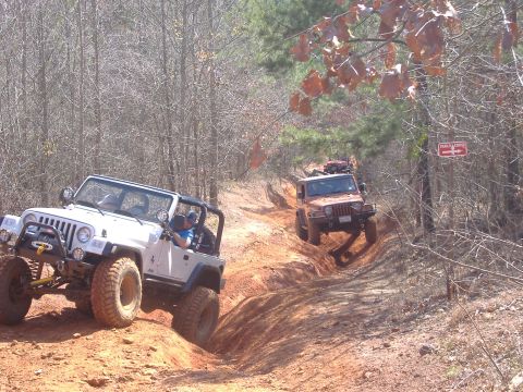 2004 Jeep Wrangler - Two Jeep Wranglers navigate a challenging dirt trail, their off-road capabilities.