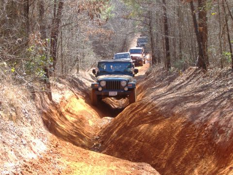 2004 Jeep Wrangler - A convoy of Jeeps navigates a challenging off-road path through a wooded area, kicking up red dirt.