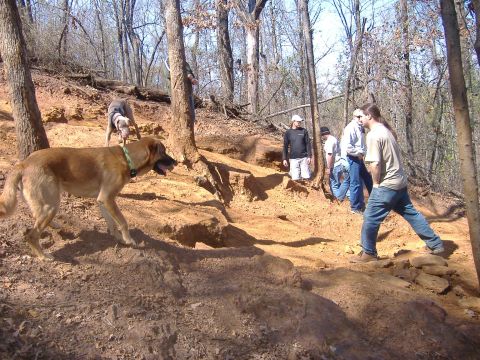 2004 Jeep Wrangler - People and dogs navigate a challenging dirt trail in a forest setting.