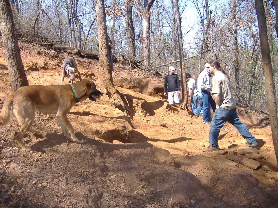 Two dogs and four people on a dirt trail in a wooded area