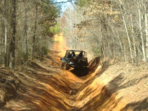 2004 Jeep Wrangler - Jeep TJ navigating a challenging off-road path in a wooded area.