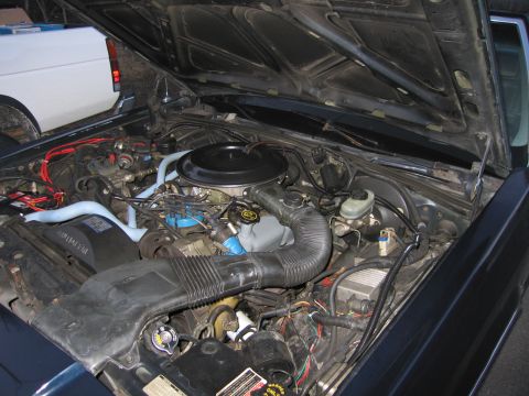 1991 Ford LTD Crown Victoria - The engine bay of a 1991 Ford Crown Victoria LTD, showing the V8 engine and associated components.