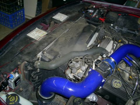 1995 Ford Crown Victoria - HIDs/Intake