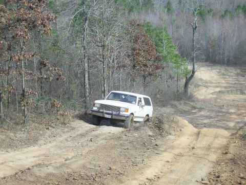 1996 Ford Bronco - This SUV is navigating a rough, unpaved path through a forest with bare trees.