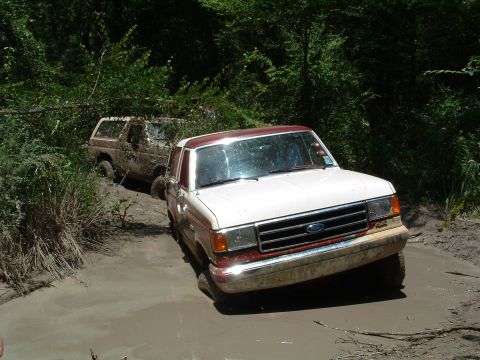 1993 Ford Bronco - Two Ford trucks are stuck in deep mud on a trail, surrounded by trees and vegetation.