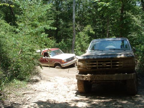1993 Ford Bronco - Two Ford trucks are stuck in a muddy trail surrounded by trees.