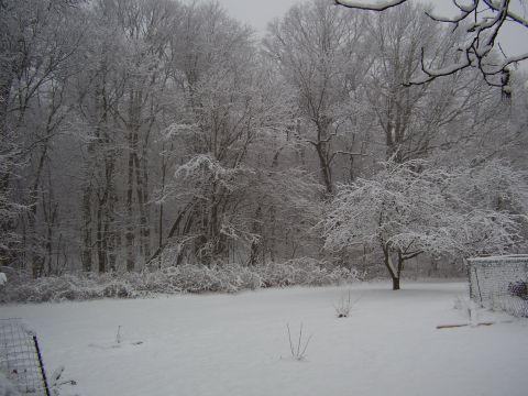 1997 Ford Taurus - A winter scene shows a backyard covered in snow with trees and a fence visible.