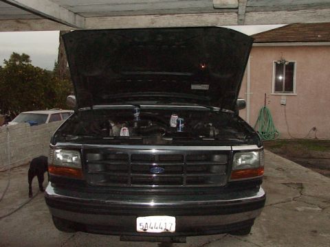 1994 Ford F-150 photo