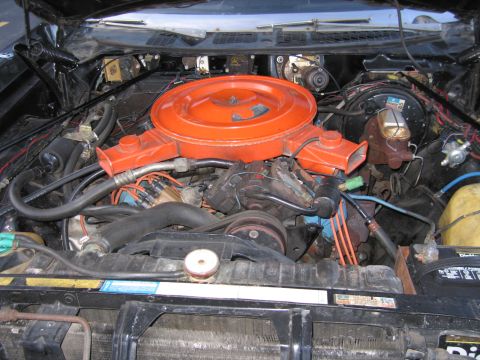 1991 Ford LTD Crown Victoria - engine bay showing a bright orange circular air cleaner mounted on a V8 engine surrounded by hoses, belts and wiring.