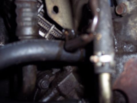 1995 Ford Probe - Close-up view of engine components, including hoses and metal brackets, with signs of fluid residue.
