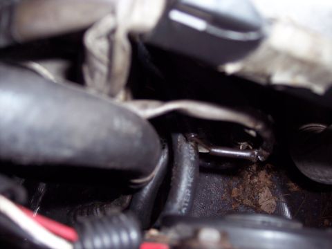 1995 Ford Probe - Engine bay hoses and wiring detail, possibly related to a coolant leak source.