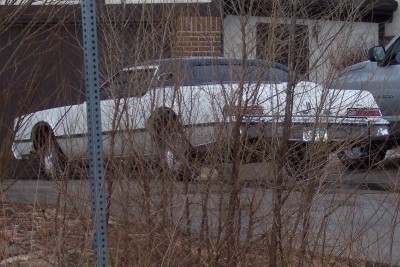 1972 Ford Ranchero - A 1972 Ford Ranchero is seen from the side, partially obscured by tree branches.