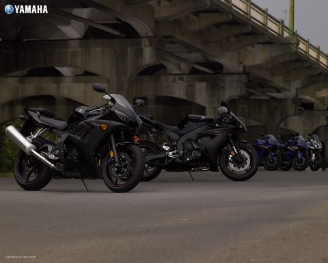 2002 Kawasaki Ninja - Multiple Yamaha motorcycles are lined up under a large concrete bridge structure.