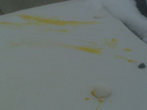 1996 Ford Probe - A snow-covered surface is marred by yellow stains and a dark object.
