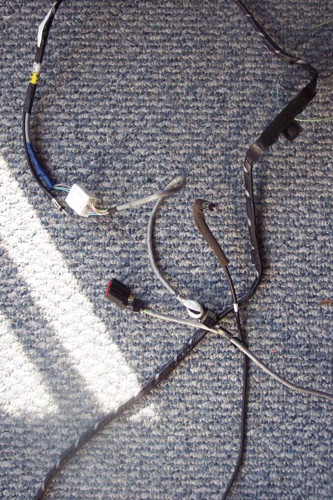 1995 Ford Probe - This photo shows an automotive wiring harness, not a 1995 Ford Probe.