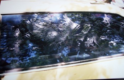 1972 Ford Ranchero - The etched glass on this vehicle window features a detailed design of birds in flight among trees.