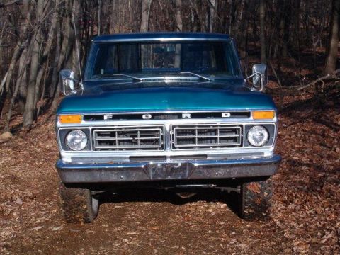 1976 Ford F-150 photo