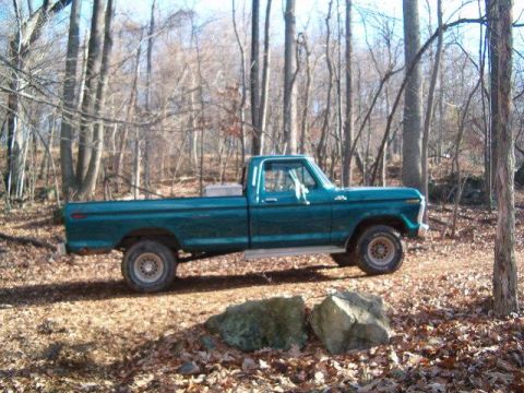 1976 Ford F-150 photo
