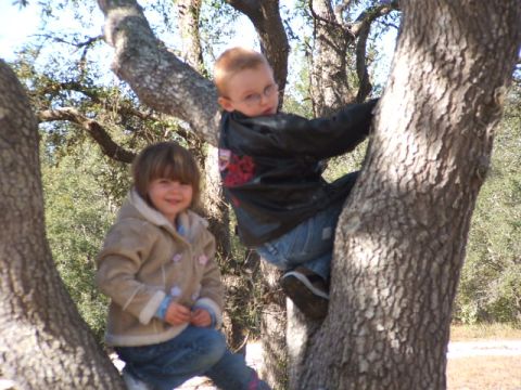 1966 Ford Ranchero - Two children enjoy a day climbing trees in the outdoors.