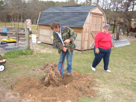 1966 Ford Ranchero - A man digs a hole while a woman watches near a shed, with a horse in the distance.