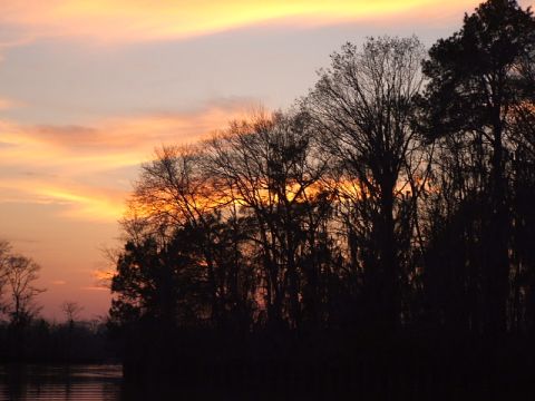 1966 Ford Ranchero - A tranquil scene of trees silhouetted against a vibrant sunset, with calm water in the foreground.