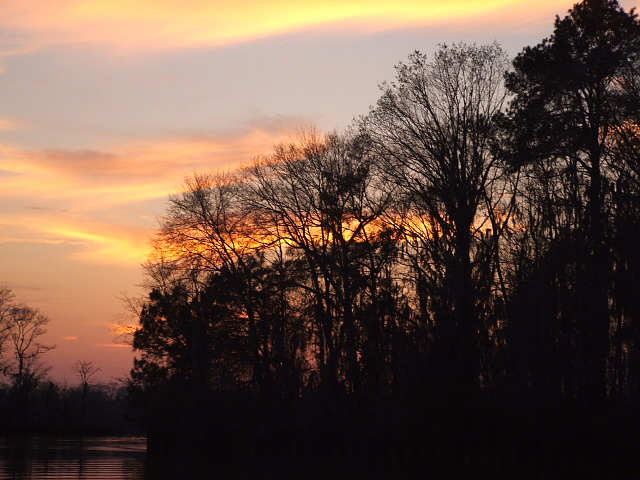 Silhouette of trees against a colorful sunset sky over water