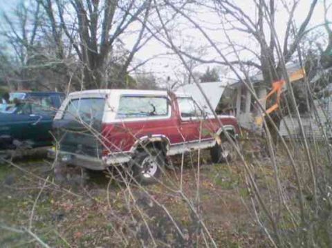 1986 Ford Bronco photo