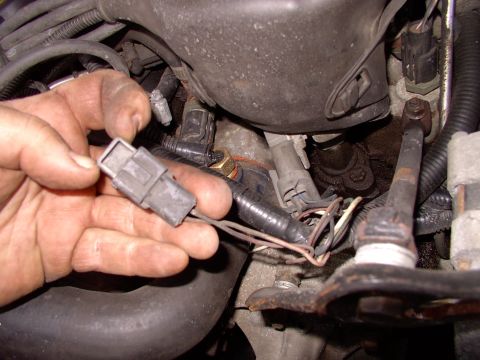 1990 Lincoln Town Car - This is the much fabled SPOUT valve that you disconnect before setting the base timing. Pull the little greay part out of the harness.