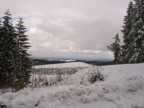 1989 Nissan 300ZX - Winter scene with snow covering the ground, trees, and distant fields under a cloudy sky.