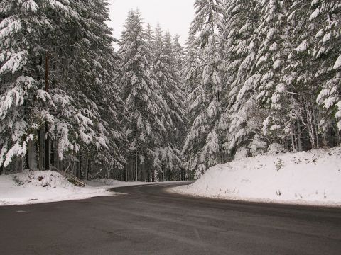 1989 Nissan 300ZX - A desolate road cuts through a snow-covered pine forest, creating a winter wonderland scene.