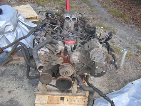 1979 Ford Bronco - Engine assembly on wooden pallets, with hoses and wiring attached, outdoors.