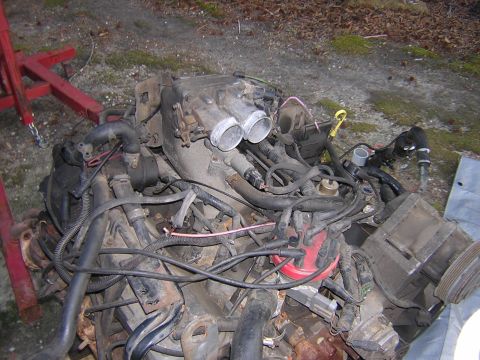 1979 Ford Bronco - Engine assembly, likely removed from a vehicle, is shown on an engine stand.