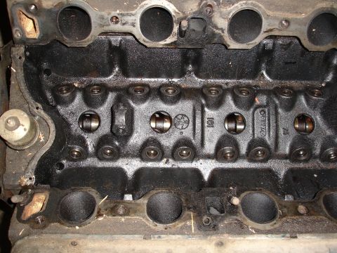 1979 Ford F-150 - This image shows the internal components of an engine block, including valve train parts and visible casting marks.