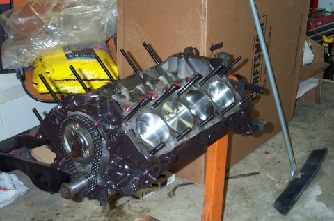 1984 Ford Bronco - pic of the assembly of the 302 for my truck
