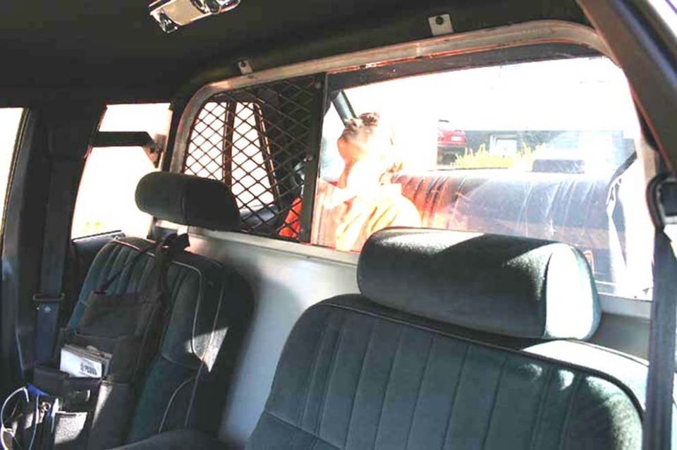 Dark cloth rear bench seat with black mesh window screen inside a car interior
