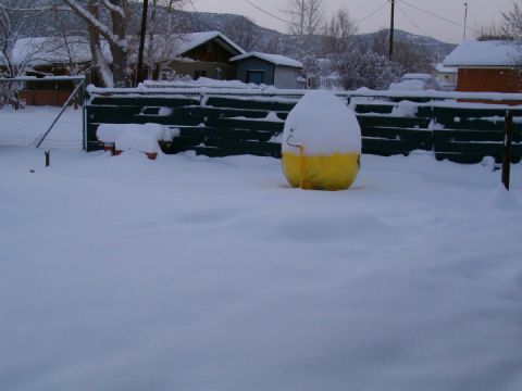 1985 Ford Bronco - A yellow object, likely a buoy, is covered in snow in a yard during winter.