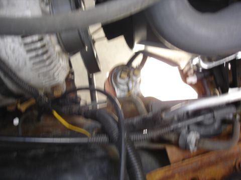 1996 Ford Bronco - Close-up view of engine parts, including hoses and wiring, with visible rust.