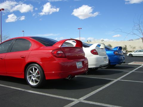 1996 Ford Probe - Three Dodge Neon SRT-4s are parked in a lot, with the red one in the foreground showing its distinctive rear spoiler and dual exhaust pipes.