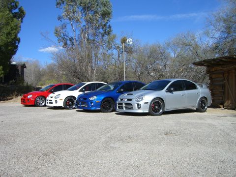 1996 Ford Probe - A lineup of four Dodge Neon SRT-4s, their distinct colors and sporty design.
