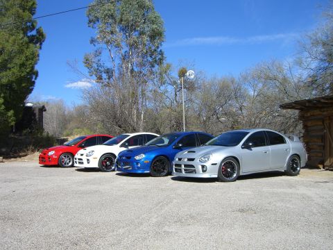 1996 Ford Probe - A lineup of four Dodge SRT-4 sedans in various colors under a bright blue sky.