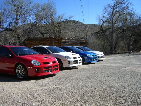 1996 Ford Probe - A line of four Dodge Neon SRT-4s are parked in a gravel lot under a clear blue sky.