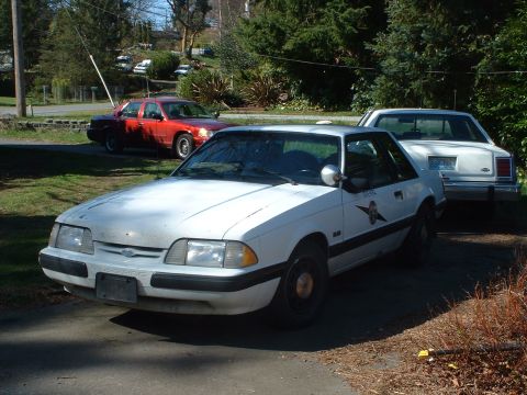 1987 Ford Mustang - A white 1987 Ford Mustang police car is parked in a driveway with two other vehicles behind it.